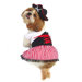 Lady Pirate Dog Costume