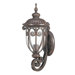 Corniche  Arm Up Wall Lantern in Burlwood