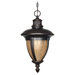 Galeon  Hanging Lantern in Old Penny Bronze