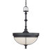 Salem 3 Light Inverted Pendant