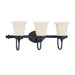 Salem  Vanity Light in Aged Bronze