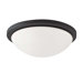 Button Energy Star Flush Mount