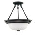 2 Light Semi Flush Mount