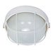  Round Cage Wall Sconce in Semi Gloss White