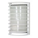  Rectangle Cage Wall Sconce in Semi Gloss White