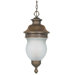 Luxor  Hanging Lantern in Platinum Gold