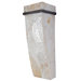 Sustainable Shell Big Sconce - Two Light