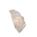 Banana Leaf Wall Sconce with Crushed Natural Capiz