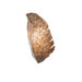 Banana Leaf Wall Sconce with Crushed Stawithed Capiz
