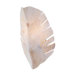 Banana Leaf Two Light Wall Sconce with Kabebe Shell