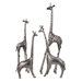 Safari Giraffe Herd in Nickel (Set of 4)