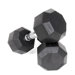 35 lbs Rubber Encased Octagonal Dumbbells