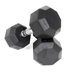  12 lbs Rubber Encased Octagonal Dumbbells