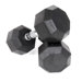 20 lbs Rubber Encased Octagonal Dumbbells