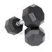 25 lbs Rubber Encased Octagonal Dumbbells