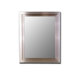 Cameo Collection Mirror in Stainless
