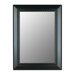 Satin Ebony Black Mirror