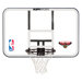 NBA Polycarbonate Backboard and Rim