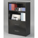 36" 2 Drawer 2 Shelf Combo Unit in Black