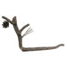 Pine Toilet Tissue Holder