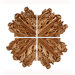 Resin Wall Art (Set of 4)