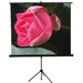 60" x 60" Tripod Screen in Matte White