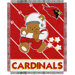 NFL Baby Triple Woven Jacquard Throw