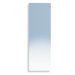 Linea 12.6" Speci Bathroom Mirror in Stainless Steel
