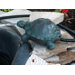 Turtle Spitter with Pump