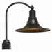 Dark Sky  Outdoor Post Lantern in Bronze