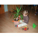 20" Plant Protector in Brown