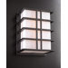 Amore Outdoor Wall Sconce in Architectural Bronze