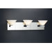 Matrix  Vanity Light  in Polished Chrome