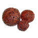 Fern Ball in Red