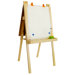 Economy Magnetic Easel with Black / Dry Erase Board