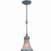 1 Light Pendant