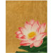 'The Gentleness of The Lotus' Wall Art