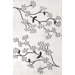 Cine Floral Vine Ivory Rug