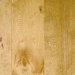 SAMPLE - Fiji Engineered Maple in Saddle