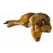 Squeaky Gingerbread Buddy Dog Toy