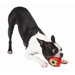 Orbee-Tuff Strawberry Dog Toy with Treat Spot