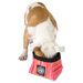 On The Go Food and Water Bowl in Forest Green