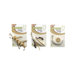Eco Cat Natural Crawlers Cat Toy