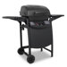 Classic Gas Grill with 2 Burners