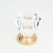 Glass Cabinet Knob in Clear Finish