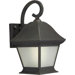 One Light Outdoor Wall Lantern with Seeded Shade in Royal Bronze