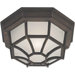 One Light Outdoor Flush Mount