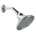 Devonshire Showerhead