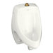 Dexter Elongated Urinal with Top Spud