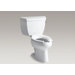 Wellworth Classic Two-Piece Elongated 1.0 Gpf Toilet with Pressure Lite Flushing Technology